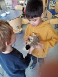 thumbnail_IMG_0163